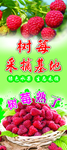 红莓
