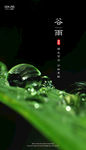 谷雨