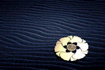 银杏金色质感