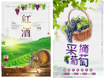 2款精致高清葡萄展示海报设计