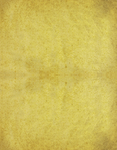 纸