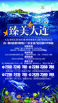 辽宁旅游海报