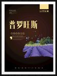 普罗旺斯