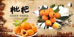 枇杷