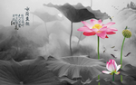 荷花图