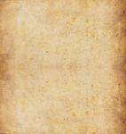 纸