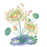 手绘荷花素材