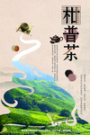 茶