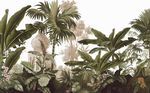 热带植物背景墙