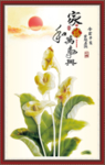 马蹄莲