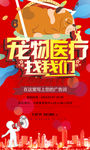宠物医疗