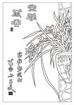 室雅兰香