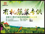 有杨果蔬配送海报果蔬展板DM单