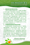 中医特色医疗简介