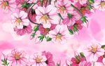 花丛
