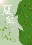 夏至节气树叶树藤海报壁纸设计