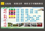 茶叶的制作过程