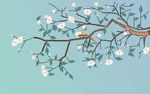 玉兰花鸟画