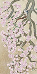 花鸟