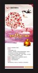 金融展架