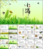 小满简介PPT
