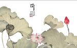 荷花