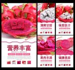 火龙果