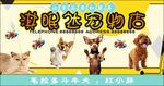 宠物店
