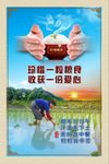 爱惜粮食  节约粮食