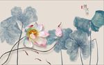 荷花韵