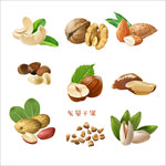 矢量干果腰果核桃杏仁花生开心果