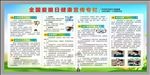 全国爱眼日宣传栏