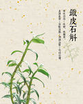 铁皮石斛