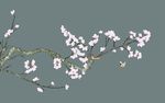 玉兰花鸟
