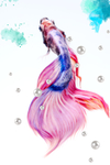 唯美水彩风金鱼装饰画