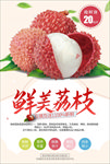 荔枝