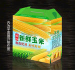 玉米包装设计