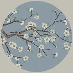 花鸟 圆框图