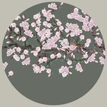 花鸟图