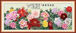 富贵花开