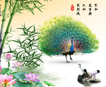 孔雀图