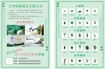 花卉园艺花草宣传单