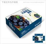 中国风蓝莓包装箱包装礼盒设计