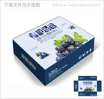 自然清新蓝莓包装箱包装礼盒设计