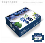 品质蓝莓包装箱包装礼盒设计