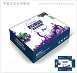 进口蓝莓包装箱包装礼盒设计