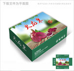 火龙果包装箱包装礼盒设计PS