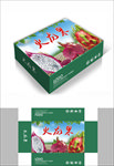 火龙果水果包装箱包装礼盒设计