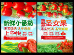 小番茄单页