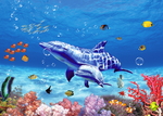 海底世界